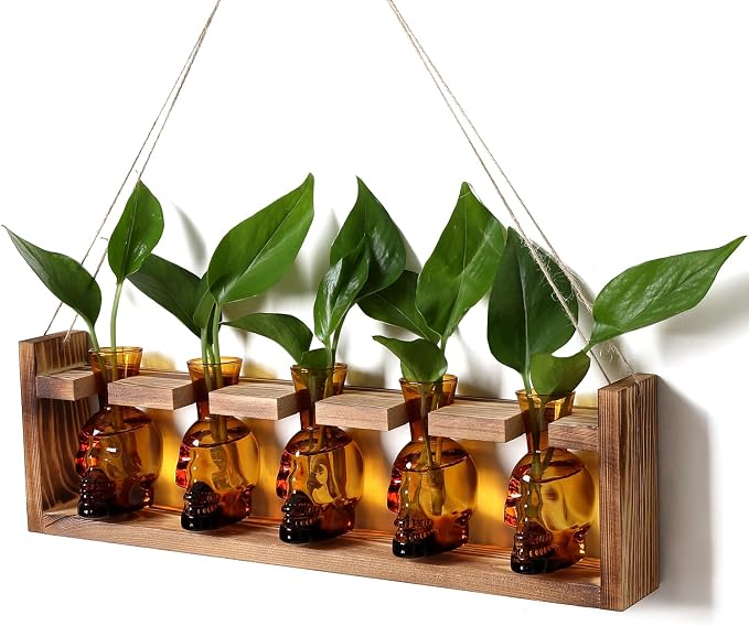 Plant Terrarium Propagation Stations Halloween Skull Planter Vase Skulls | decor With Wooden Stand Gife for Father - 5 Vases