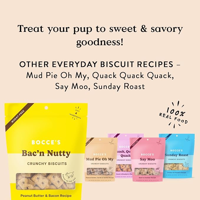 Bocce's Bakery Bac'n Nutty Flavor Crunchy Biscuits Dog Treats, 5 oz | Oven Baked, Wheat-Free Everyday Dog Treat Biscuits - Made with Real, Limited Ingredients and Baked in The USA