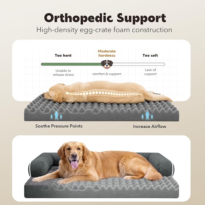 Orthopedic Washable Dog Bed with Bolster for Large Sized Dogs | Pillow Support for Neck Relief, Egg Crate Foam, Waterproof Liner, Anti-Slip Bottom, Machine Washable Cover, 38 x 25 Inch