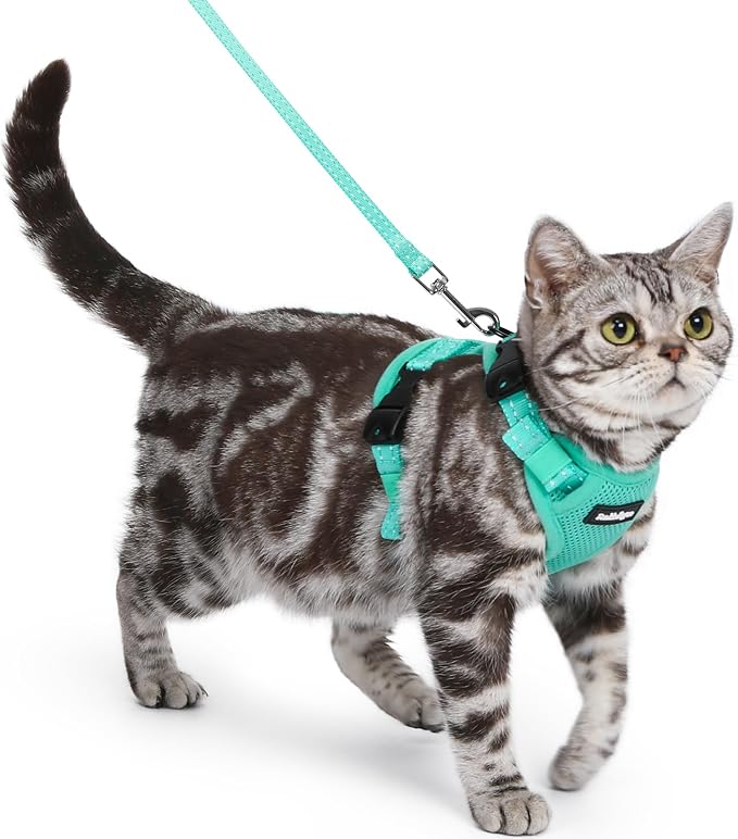 rabbitgoo Cat Harness and Leash, Easy-on with Neck Buckle, Green