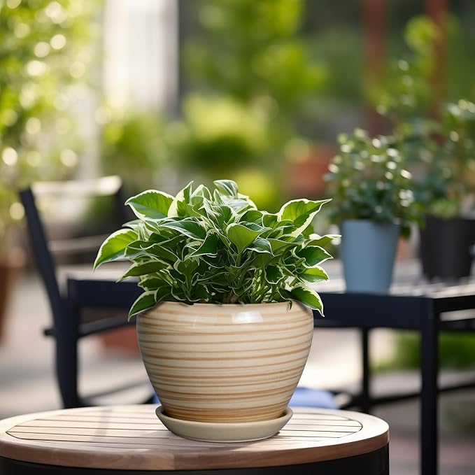Ceramicfor 6 Inch Plant Pot Ceramic - Decorative Planter for Indoor Plants Succulent Pot with Drainage Hole and Saucer Round Planter Outdoor Flower Pot for House Patio Yellow