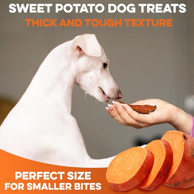 BRUTUS & BARNABY Dried Sweet Potato Dog Treats & Chews, Half Slices, 5 lb | Single ingredient, healthy, hypoallergenic; gentle on sensitive stomachs. Made in USA, bite size for small breeds