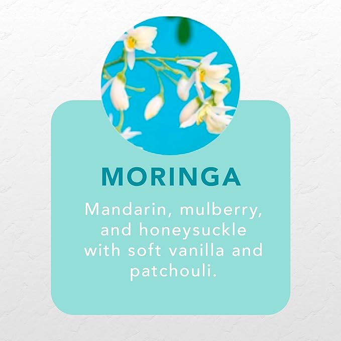 PURE FIJI Nourishing Body Butter, Moringa (6.7oz/200ml)