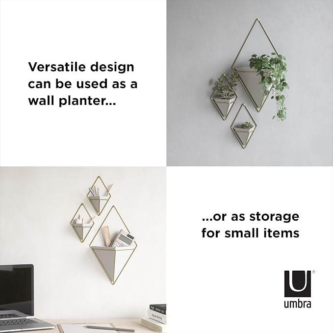 Umbra Trigg Hanging Planter for Small Plants, Set of 2, Small, White/Brass