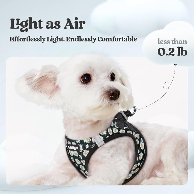 rabbitgoo Dog Harness Small Sized and Leash Set, Step-in Puppy Pet Vest | Light, Soft, Breathable Air Mesh, Easy on and Remove with Hook & Loop, Secure Reflective for Walking, Midnight Daisy M
