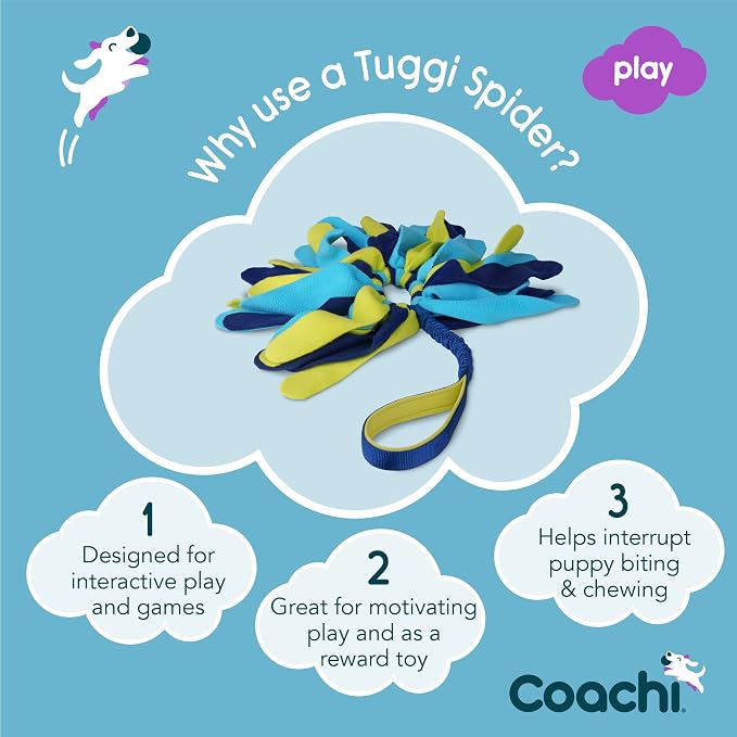 Coachi Tuggi Spider - Interactive Dog Toy for Tug of War & Play