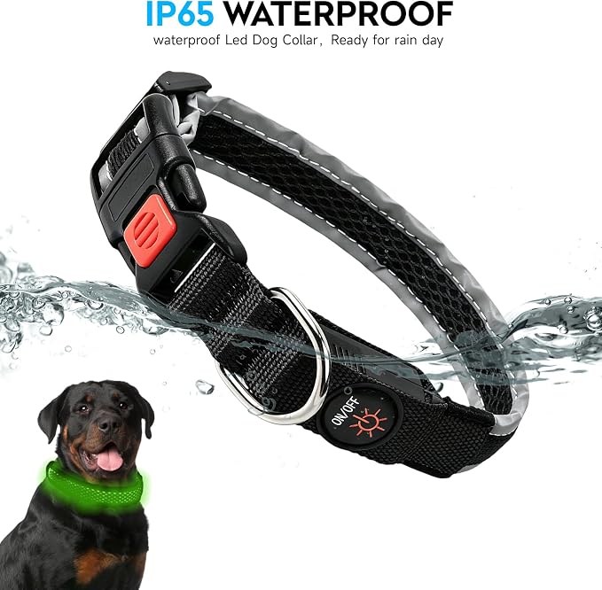 LED Dog Collar, Light Up Dog Collar,for Night Walking(Medium,Black)