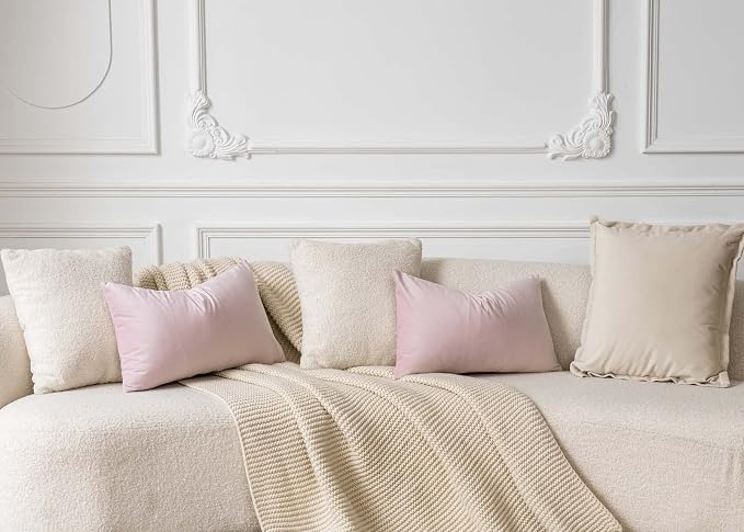 JUSPURBET 28x28 Decorative Velvet Throw Pillow Covers Cases Set of 2,Pink | Cozy Soft Euro Cushion Covers with Hidden Zipper for Couch Sofa Bed Living Room Bedroom Home Decor