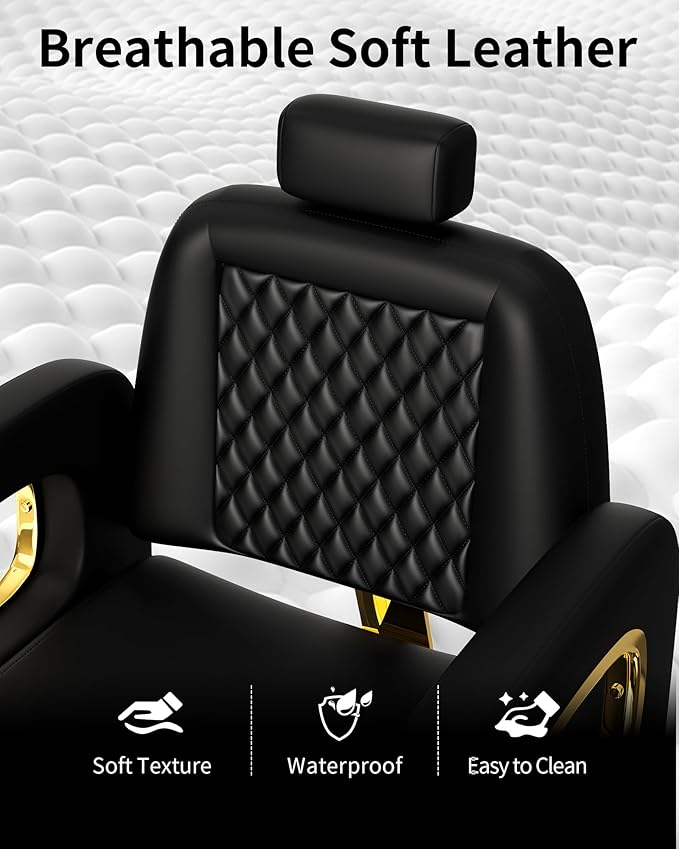 Baasha Black and Gold Reclining Salon Chair with Adjustable Headrest, Soft PU Leather, Hydraulic Styling Chair with Heavy-Duty Steel Frame, 440 lbs Capacity, Ideal for Hair Braiding, Tattoo