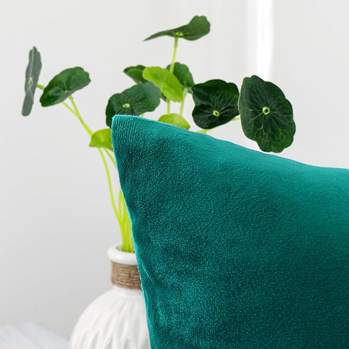 NiNi ALL Teal Velvet Throw Pillow Covers 28x28 Pack of 2 Decorative Couch | Soft Solid Boho Cushion Squar Pillow Cases for Chair Sofa Bedroom Farmhouse Living room Modern Luxury Home Decor Christmas