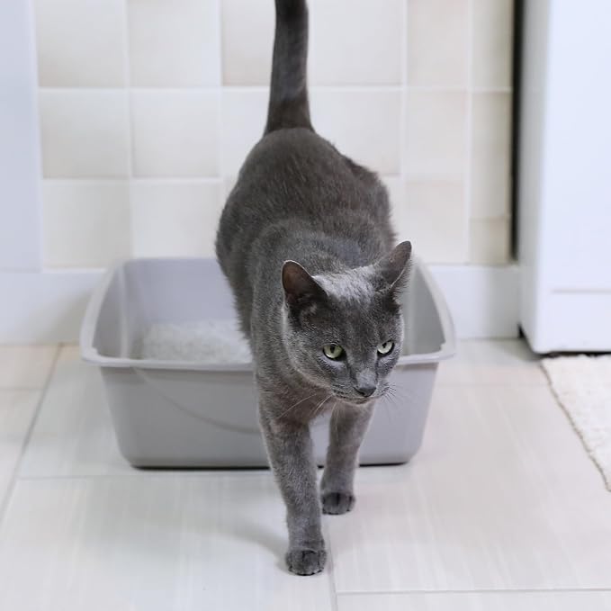 Petmate Open Cat Litter Box; Large Nonstick Litter Pan Durable Standard Box, Grey Great for Small & Large Cats Easy to Clean; Made in USA | Easy to clean standard tray for small and big felines, smooth surface releases clumps, simple everyday scooping ...