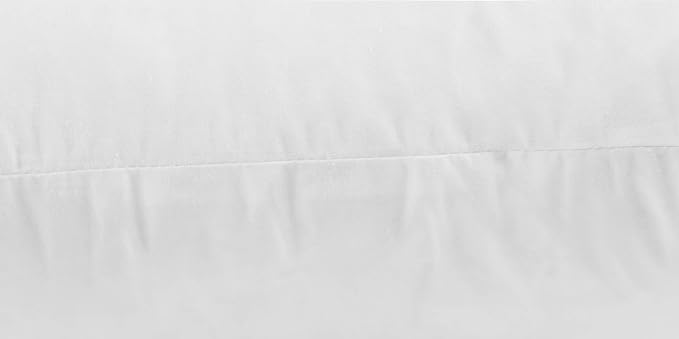 SNUG&COZY Luxury Goose Down Feather Pillow Inserts - 22x22IN, Double Layered Down-Proof Design, Ultra-Soft Cover, High Fill Weight, Pack of 2, White