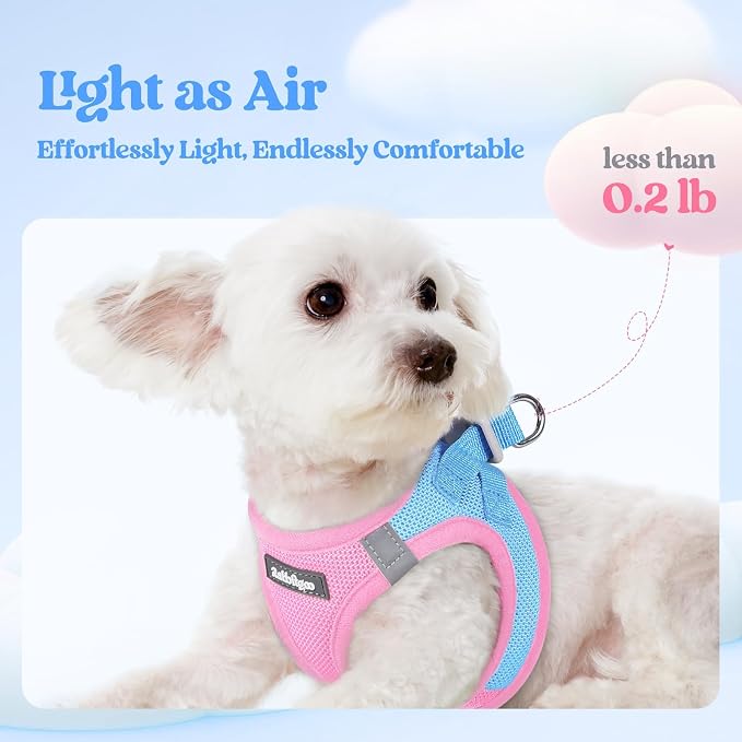 rabbitgoo Dog Harness Small Sized and Leash Set, Step-in Puppy Pet Vest | Light, Soft, Breathable Air Mesh, Easy on and Remove with Hook & Loop, Secure Reflective for Walking, Blue & Light Pink M