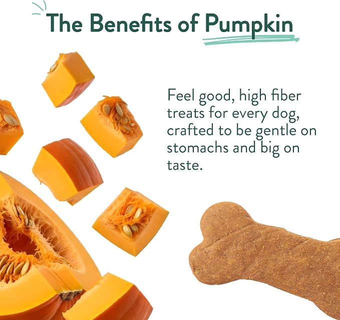 Portland Pet Food Pumpkin Dog Treats - Healthy, Grain-Free Biscuits, 5 oz | Human-Grade, Limited Ingredient, Natural Low Calorie Training Treats for Small & Large Dogs, Puppy to Senior, Made in USA