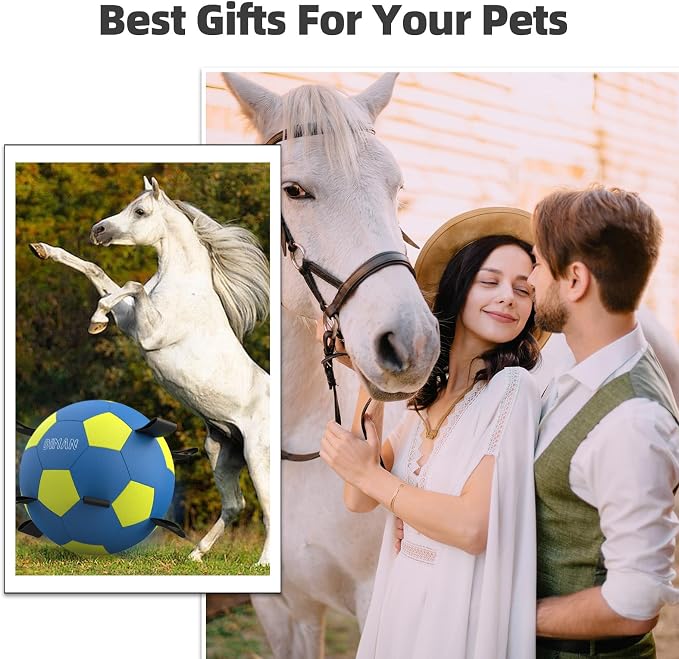 Diman Herding Ball for Dogs with Straps, 25 Inch Horse Balls for Outdoor