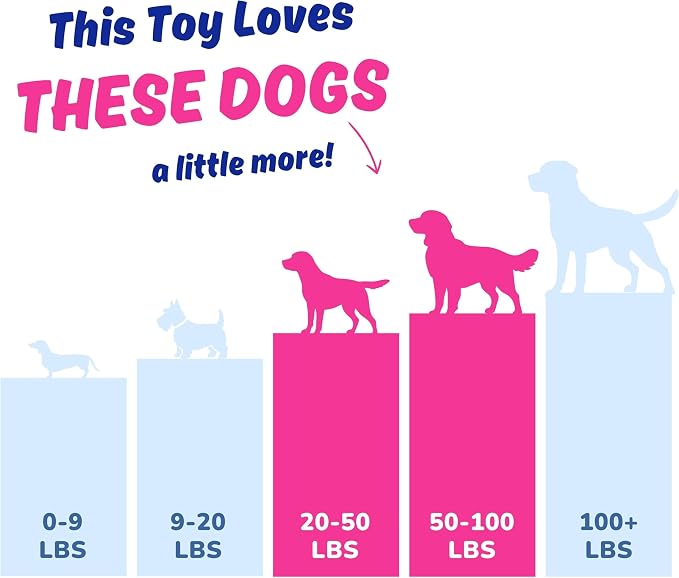 Dog Toy for Aggressive Chewers, Tough Squeaky Chew Ball, Large Breeds Gift