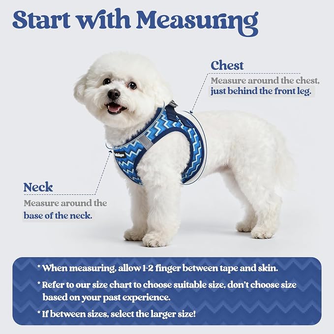 rabbitgoo Dog Harness Small Sized and Leash Set, Step-in Puppy Pet Vest | Light, Soft, Breathable Air Mesh, Easy on and Remove with Hook & Loop, Secure Reflective for Walking, Blue Zigzag XXS