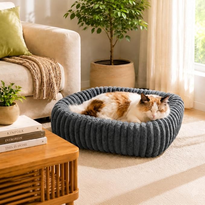 FURTIME Dog Bed for Small Dogs, Cat Beds for Indoor Cats Washable, Orthopedic Rectangle Soft Calming Puppy Bed with Removable Cover, Durable Pet Cuddler with Anti-Slip Bottom, Grey, S (20"x19"x6")
