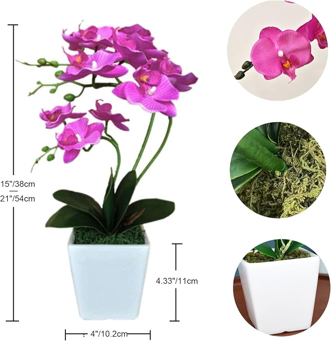 15" Silk Phalaenopsis Orchid in Square Pot, Fuchsia Flower Arrangements | Lifelike Faux Potted Blooms with Moss in a Ceramic Planter. Looks Real, Zero Upkeep, Ideal Centerpiece for Any Table