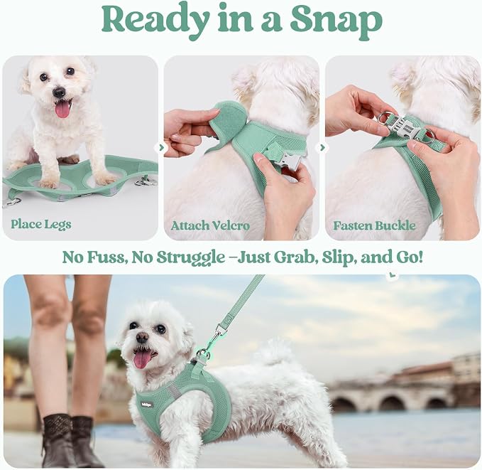 rabbitgoo Dog Harness Small Sized and Leash Set, Step-in Puppy Pet Vest | Light, Soft, Breathable Air Mesh, Easy on and Remove with Hook & Loop, Secure Reflective for Walking, Moss Green S