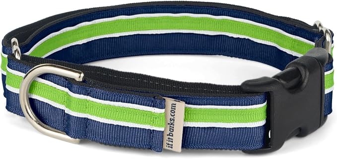 If It Barks 1" Martingale Collar with Quick Snap Release Buckle, Adjustable, USA Made, Small, Finley