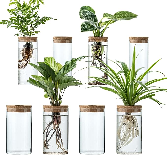 Propagation Vases for Plants, Set of 8(4 Large & 4 Small) Glass Plant Propagation Stations, Plant Propagation Jars for Home Office Windowsill Tabletop Decoration (8)