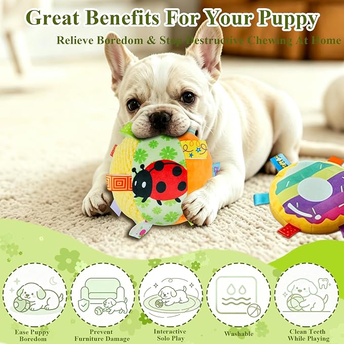 Colorful Squeaky Hanging Dog Toy with Suction Cup for Small Dogs | Bungee Tether, Crinkle Bell Ball, Bouncing Self-Play Toy, Door Frame Mounted, Interactive Fetch for Puppy Teething & Exercise