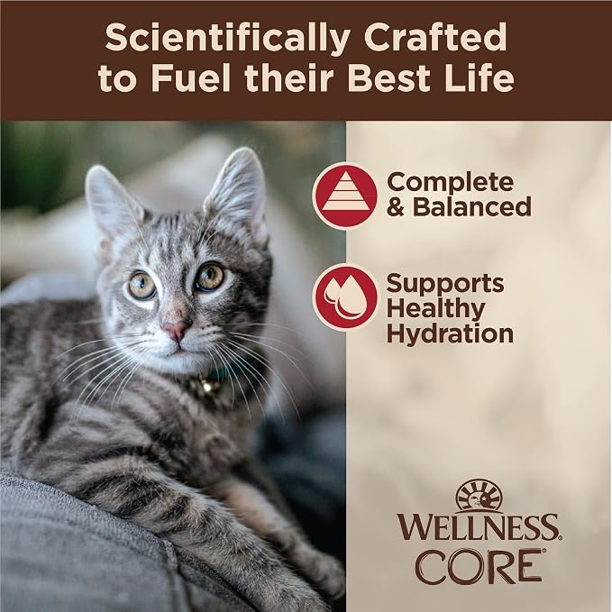 Wellness CORE Tiny Tasters Minced Adult Wet Cat Food, Natural, Protein Rich, Grain Free, Chicken and Beef Recipe, 1.75 oz, Pack of 12 Pouches