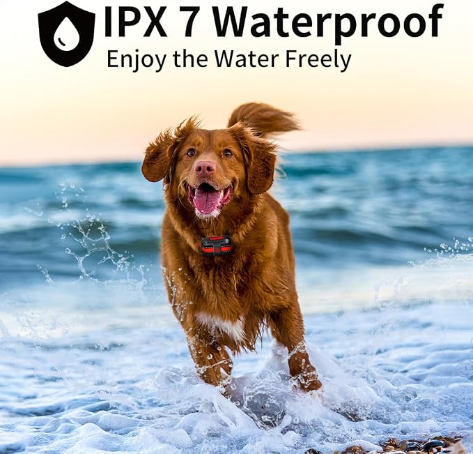Dog Training Collar with Rechargeable Remote Control 3 Training Modes IPX7 Waterproof Electric Collar Range 3300Ft Bark Collar for Small Medium Large Dogs