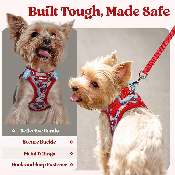 rabbitgoo Dog Harness Medium Sized and Leash Set, Step-in Puppy Pet Vest | Light, Soft, Breathable Air Mesh, Easy on and Remove with Hook & Loop, Secure Reflective for Walking, Apple Pups L