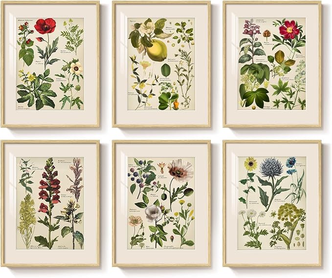 Framed Botanical Floral Wall Art for Kitchen, Set of 6 Green Painting Canvas Prints with Mat for Modern Farmhouse Wall Decor, Rustic Plant Flower Pictures for Living Room Bedroom Dining Room, 11x14