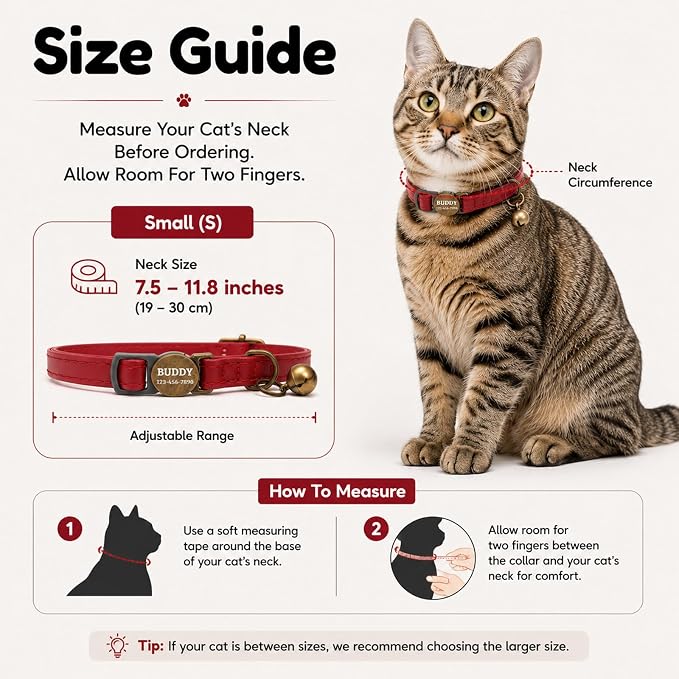 Personalized Breakaway Cat Collar with Name, Red