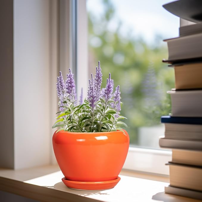 Ceramicfor Ceramic Plant Pot 6 Inch - Ceramic Planter for Indoor Plants Outdoor, Glaze Round Modern Flower Pot with Drainage Hole and Saucer, Gift for Plant Lover, Home Garden Room Decor, Orange