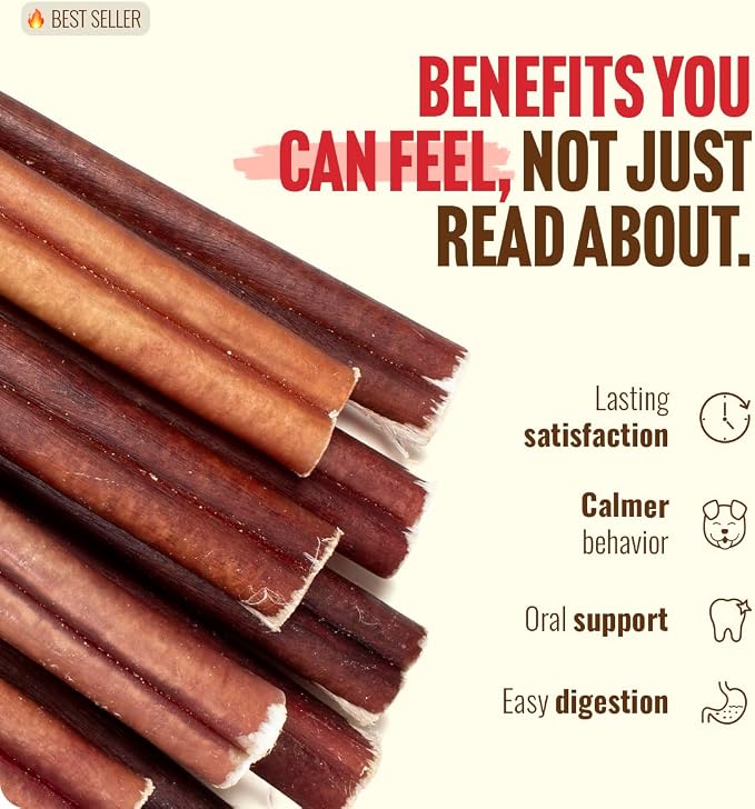 Natural Farm Odor Free Bully Sticks (4 Inch, 30 Pack) for Small & Medium Dogs - 100% Beef Chews for Pups, Non-GMO, Grain-Free, Fully Digestible Long Lasting Dog Treats