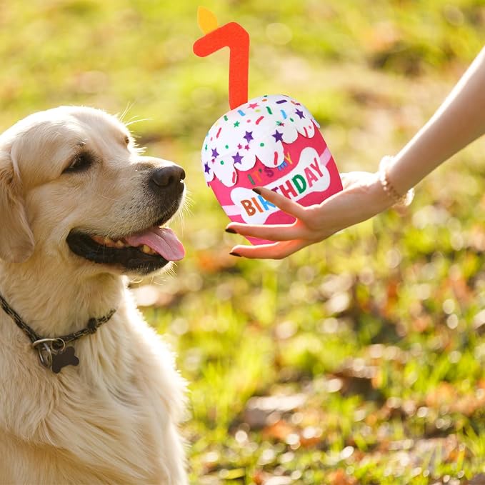 Dansydaisy Dog Birthday Cake Toy Squeaky Plush Gift,7th,Pink