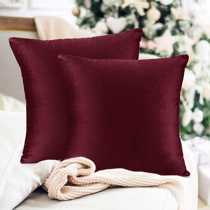 Throw Pillow Inserts Pack of 2 with Velvet Soft Solid Decorative Square Throw Pillow Covers Set for Sofa Couch Car Bedroom, 20X20 Throw Pillows Inserts with 18x18 Washable Cushion Covers, Brownish Red