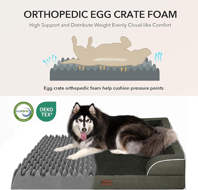 Orthopedic Washable Dog Bed for Medium Dogs, 35x22in, Dark Green | Orthopedic Foam Eases Joint Pressure, Bolsters Supports Head And Neck, Washable Pet Beds, Removable Cover, Non-Slip Bottom