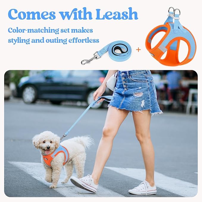 rabbitgoo Dog Harness Medium Sized and Leash Set, Step-in Puppy Pet Vest | Light, Soft, Breathable Air Mesh, Easy on and Remove with Hook & Loop, Secure Reflective for Walking, Blue & Orange XXL