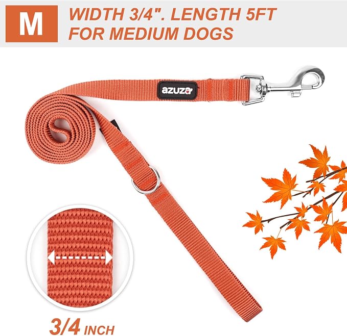 azuza Nylon Fall Dog Collar and Leash Set, Strong & Durable Basic Style Leash with Easy to Use Collar Hook, Available in Multiple Lengths for Medium Dogs, Rust Orange,M