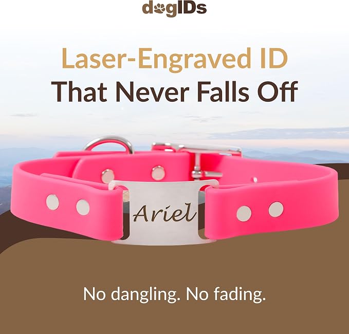 dogIDs Personalized Dog Collar – ScruffTag Custom Waterproof Biothane Dog Collar with Laser-Engraved Name, Durable & Odor-Resistant – USA Made | Pink, 3/4 in x 14 in (Fits Neck Sizes 12-16 in)