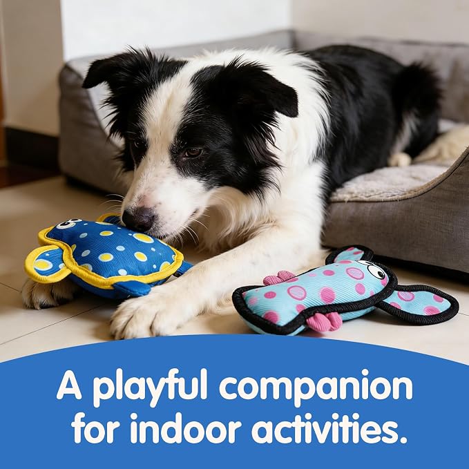Squeaky Dog Toys for Small & Medium Dogs, Turtle & Lobster Set
