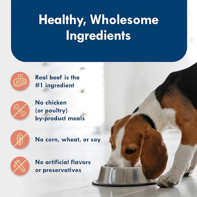 Blue Buffalo Delights Filet Mignon Small Breed Wet Dog Food, 3.5 oz, 12 ct | Adult Formula, Grain-Free, Pate Style, Real Beef First, in Savory Juice, No Corn, Wheat, or Soy