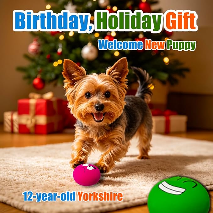 Latex Squeaky Dog Toys for Small Dogs & Tiny Breeds, 2.2" Flat Ball