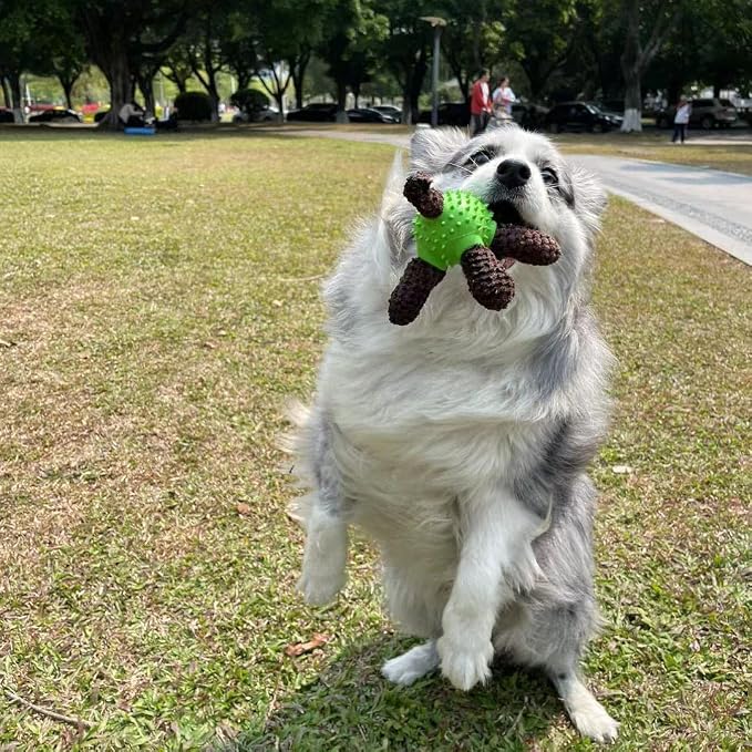 Squeaky Dog Toys, Interactive Durable Plush Pet Toys,Food Dispensing Toy,Funny Rubber Chew Puzzle Toy for Puppy Middle Large Dogs