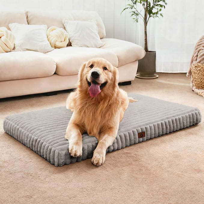 Medium Dog Bed Orthopedic Foam with Waterproof Lining | Egg crate foam for joint support. Soft plush surface. Non-slip bottom. Removable & machine washable cover. OEKO-TEX certified