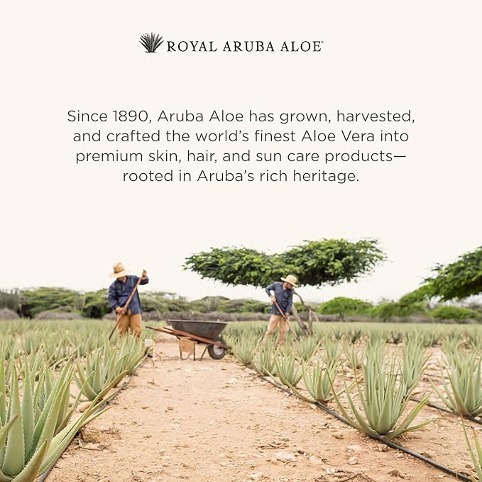 Aruba Aloe Special Care Lotion - Hydrating and Soothing for Dry and Sensitive Skin - 6 Oz Bottle