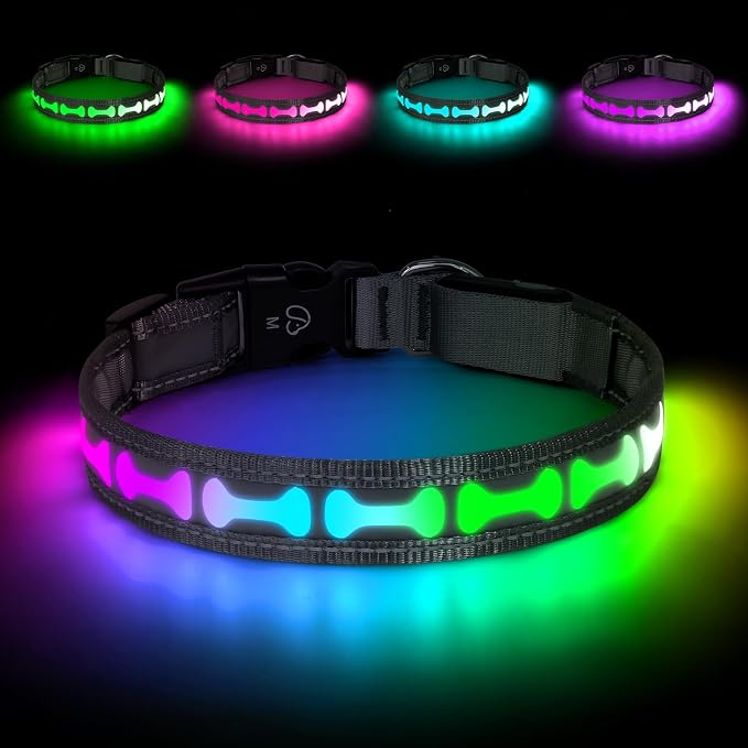 Flashseen LED Dog Collar Light up USB Rechargeable, 7-Color Glow, Grey, M