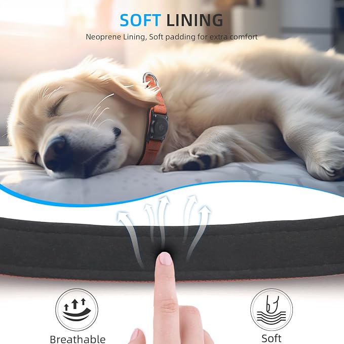 Upgrade Dog Collar with AirTag Holder, IP68 Waterproof, Orange, XS | Built-in Water Resistant AirTag holder, 1000D Nylon, Reflective Stitching for Night Visibility, Soft padding for Comfort