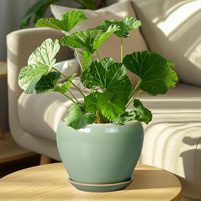 Ceramicfor 8 Inch Plant Pot - Ceramic Planter for Outdoor Plants Indoor Plant Pot with Drainage Hole and Saucer Mid-Century Round Planter Flower Pot for House Garden Green