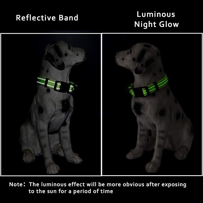 Mile High Life Reflective Dog Collar, Adjustable Lightweight Quick Release
